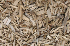 biomass boilers Llanstephan